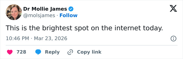 Seven Kidnapped Dogs Become Viral Sensation After They Escape Captors To Make Brave Journey Home Together