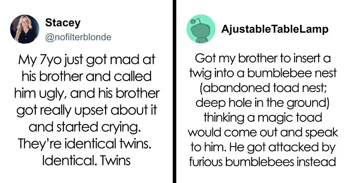 49 Hilarious Examples Of Sibling Rivalry That Might Remind You Of Your Childhood
