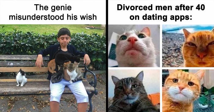 81 Chucklesome Cat Memes That Combine The Two Things The Internet Loves The Most
