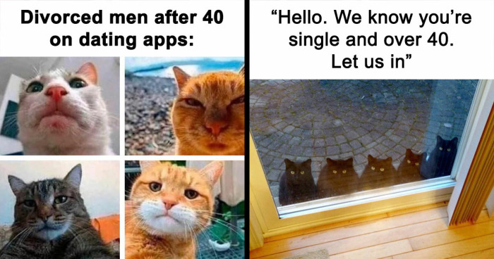 81 Chucklesome Cat Memes That Combine The Two Things The Internet Loves The Most