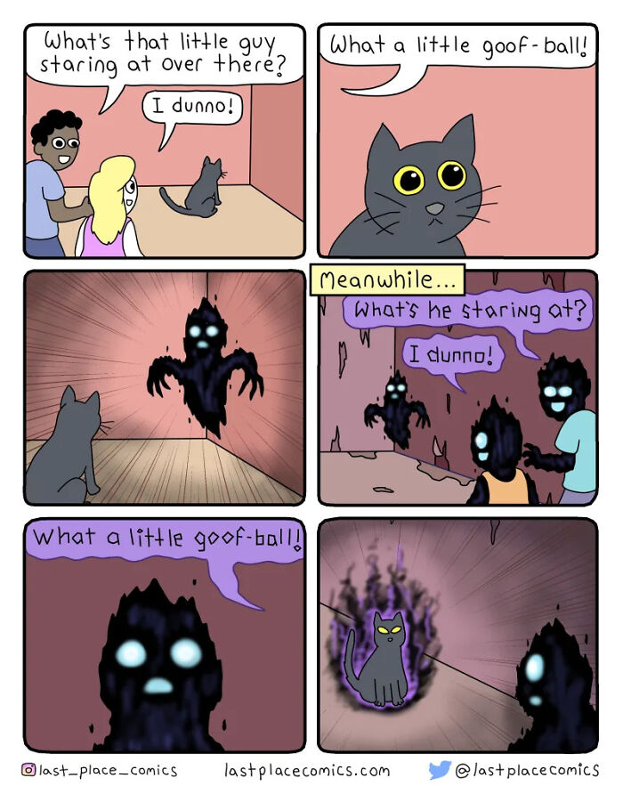 Unexpectedly Hilarious And Dark ‘Last Place Comics’