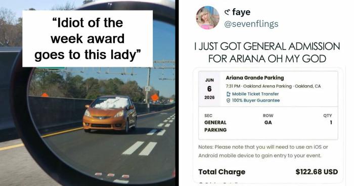 41 Examples Of People Operating At 1% Brain Capacity