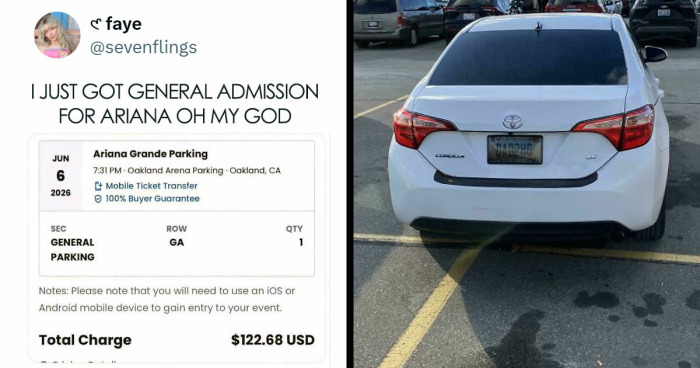 41 Examples Of People Operating At 1% Brain Capacity