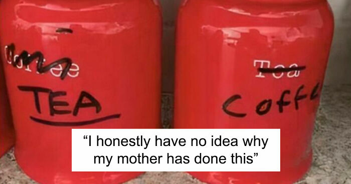 41 Examples Of People Operating At 1% Brain Capacity