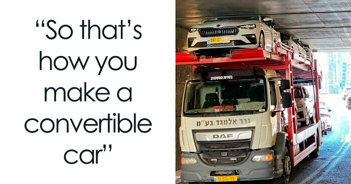 41 Examples Of People Operating At 1% Brain Capacity