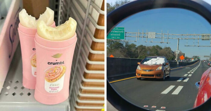 41 Examples Of People Operating At 1% Brain Capacity