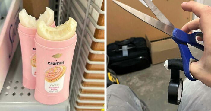 41 Examples Of People Operating At 1% Brain Capacity