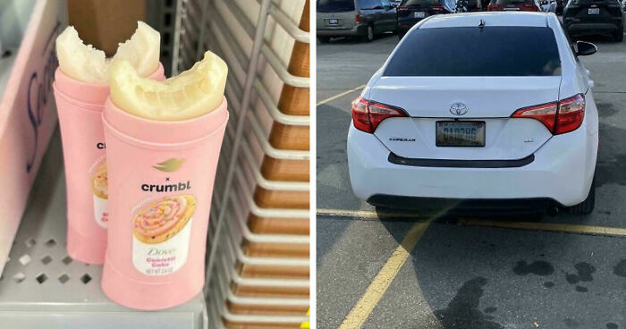 41 Examples Of People Operating At 1% Brain Capacity