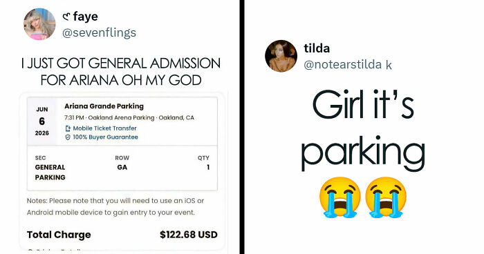 41 Examples Of People Operating At 1% Brain Capacity