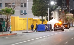 Grisly Scene In Downtown LA As A Man Loses His Life After Removing His Own Package