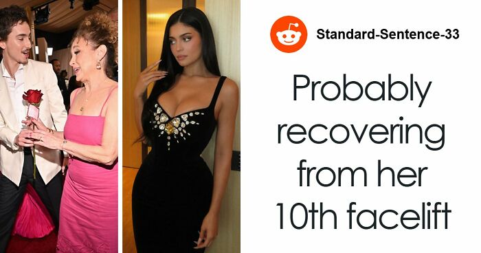 Woman Refuses To Dogsit Her Brother’s Elderly Dog, Gets Shocked When He Declines To Babysit Her Kids