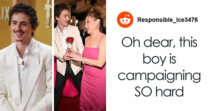 Woman Refuses To Dogsit Her Brother’s Elderly Dog, Gets Shocked When He Declines To Babysit Her Kids