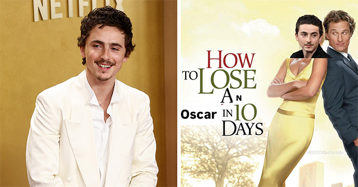 81 Times Cats Were So Ridiculous, Silly, Or Dramatic That They Had To Become Memes