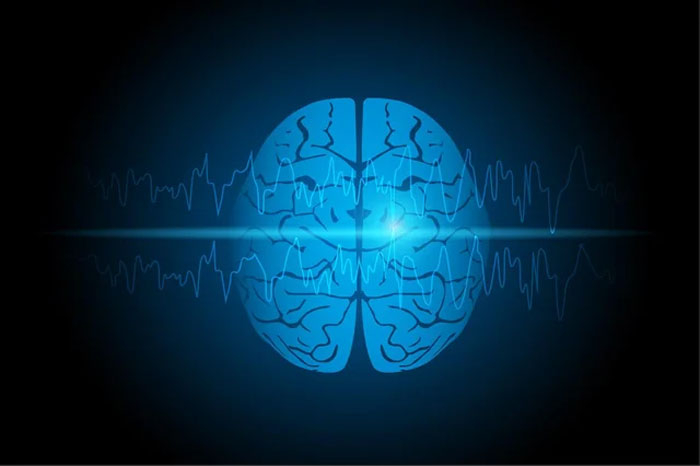 Digital illustration of a human brain with neural waves, representing neurological development entering adulthood at age 32.