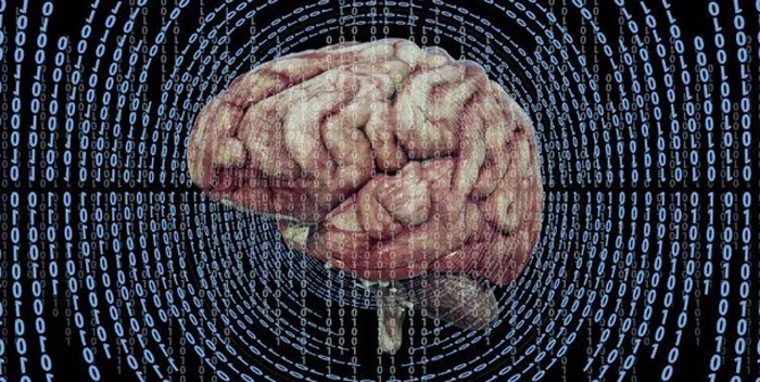 Human brain surrounded by binary code, illustrating neurological development and the concept of entering adulthood at age 32.