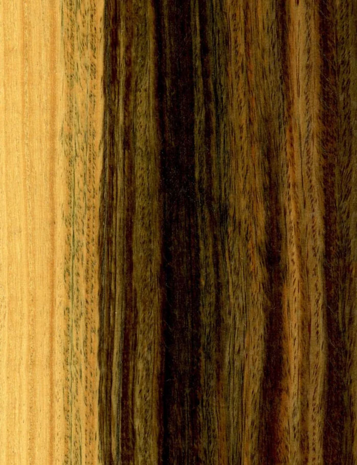 Close-up of textured wood grain pattern with natural brown and beige tones, illustrating organic and mature growth.