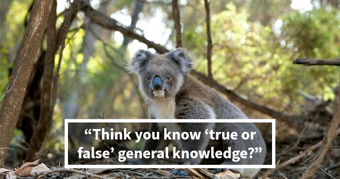 We Prepared 40 General Knowledge Questions — Anything Above 35 Is Impressive