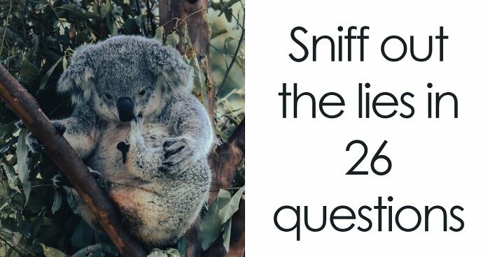 “April Fools!”: Identify 26 Lies And Prove You Cannot Be Tricked