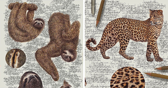 This Artist Turns Wildlife Into Hyper-Detailed Pencil Sketches, And Here Are 34 Of The Best Ones