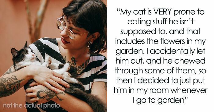 Lady Ends Up Homeless When Sis Kicks Her Fam Out After They Endanger Her Feline Friend