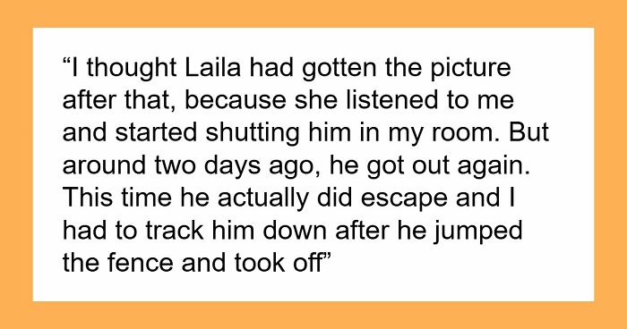 Jobless Mom Waves Off Sister’s Only Rule About Her Cat, Acts Shocked When The Free Housing Ends