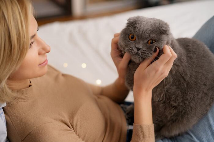 Woman gently holding a gray cat while relaxing on a bed, illustrating unconventional family traditions at home.