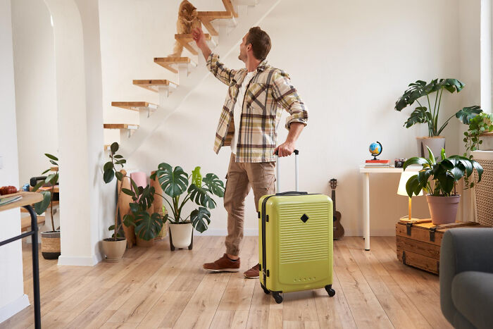Man with suitcase reaching to a cat on stairs, illustrating unconventional family traditions in a cozy home setting.