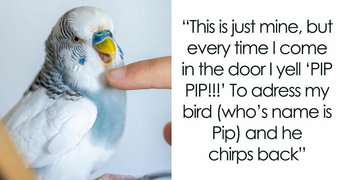 From Heartwarming To Bizarre, Folks Open Up About 39 Unconventional Family Traditions