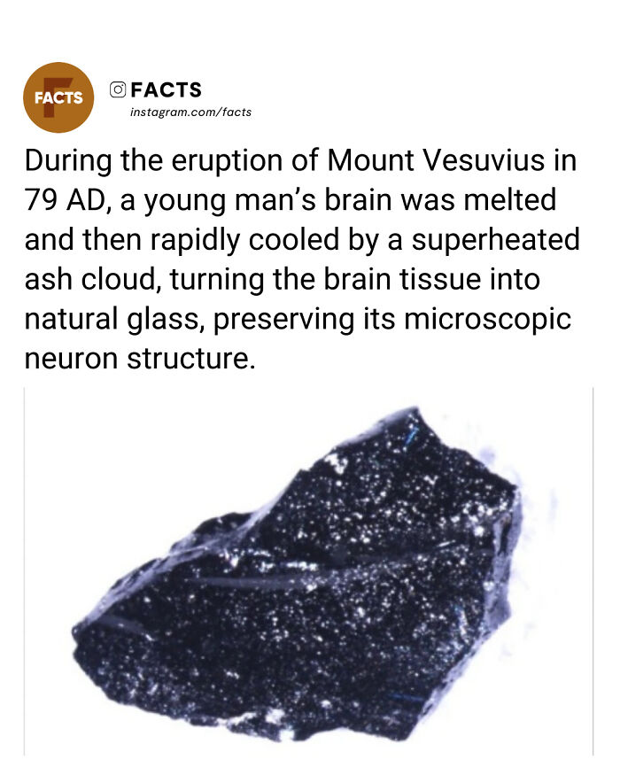 Preserved brain tissue turned to natural glass after Mount Vesuvius eruption, highlighting fascinating brain-care facts.