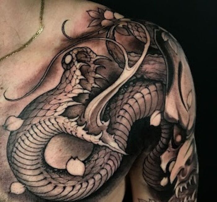 Shoulder / Shoulder Blade / Shin