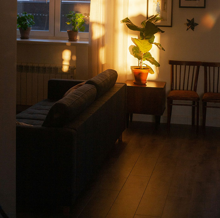 Dimly lit living room with shadowy corners and warm sunlight highlighting a potted plant, evoking unsettling mysteries.