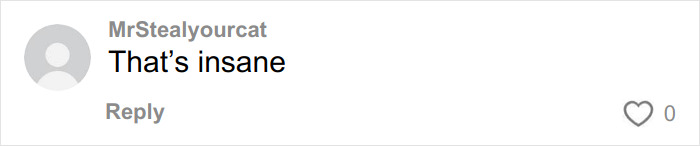 Comment saying That’s insane by user MrStealyourcat on a white background with zero likes.