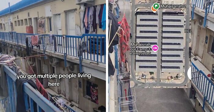 107 Wholesome And Heart-Melting Animal Moments To Make Your Day Brighter