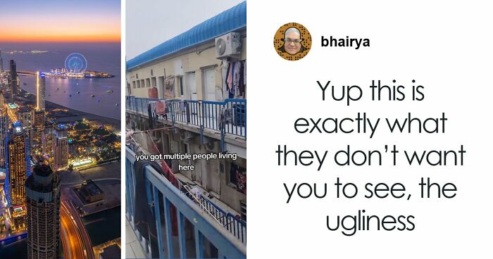 28 One-Panel Comics That Anyone Who Has Ever Been Judged By A Cat Will Instantly Relate To