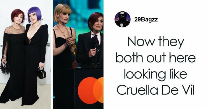 “Toby The 80-Year-Man Trapped In A Chihuahua Body”: 81 Hilarious Dogs Being Their Goofy Selves (New Pics)