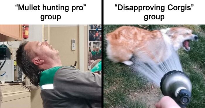 29 Facebook Groups That Are Proof The Internet Is A Weird Place But That’s Why People Love It