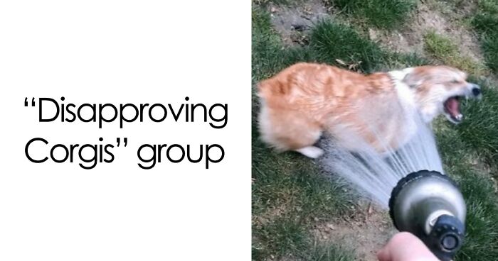 29 Facebook Groups That Are Proof The Internet Is A Weird Place But That’s Why People Love It