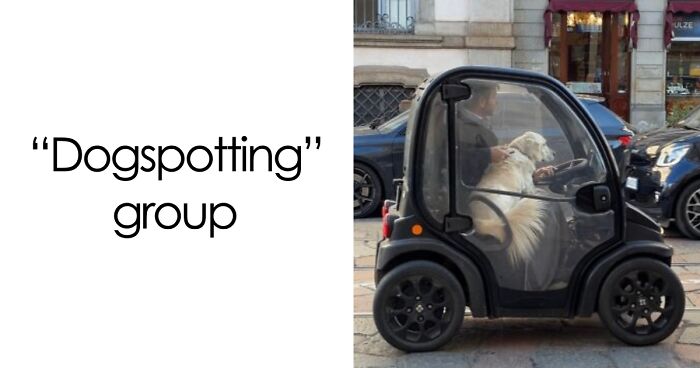 29 Facebook Groups That Are Proof The Internet Is A Weird Place But That’s Why People Love It