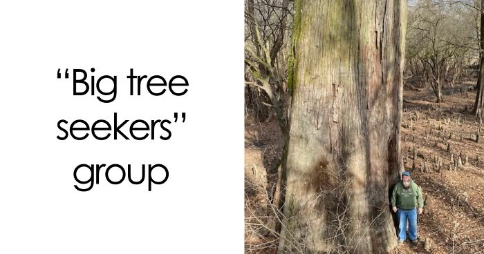 29 Facebook Groups That Are Proof The Internet Is A Weird Place But That’s Why People Love It