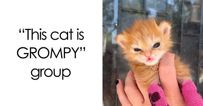 29 Facebook Groups That Are Proof The Internet Is A Weird Place But That’s Why People Love It