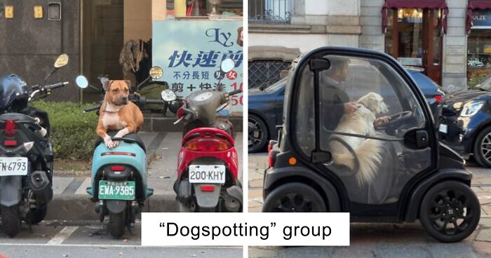 29 Facebook Groups That Are Proof The Internet Is A Weird Place But That’s Why People Love It