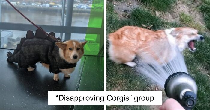 29 Facebook Groups That Are Proof The Internet Is A Weird Place But That’s Why People Love It