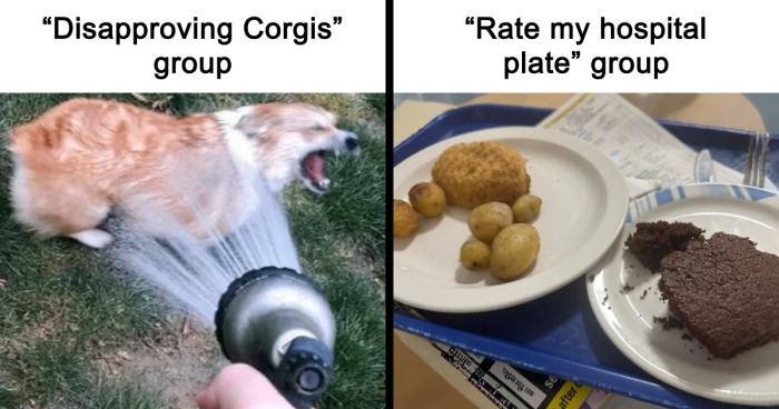 29 Facebook Groups That Are Proof The Internet Is A Weird Place But That’s Why People Love It