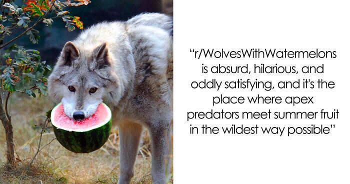 42 Of The Weirdest Subreddits That Are For Some Reason Very Popular