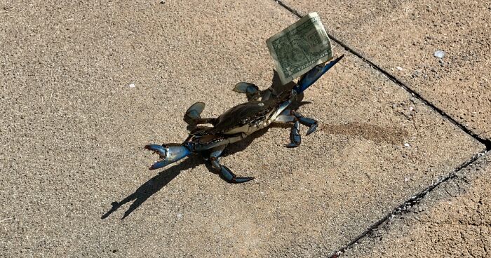 42 Of The Weirdest Subreddits That Are For Some Reason Very Popular