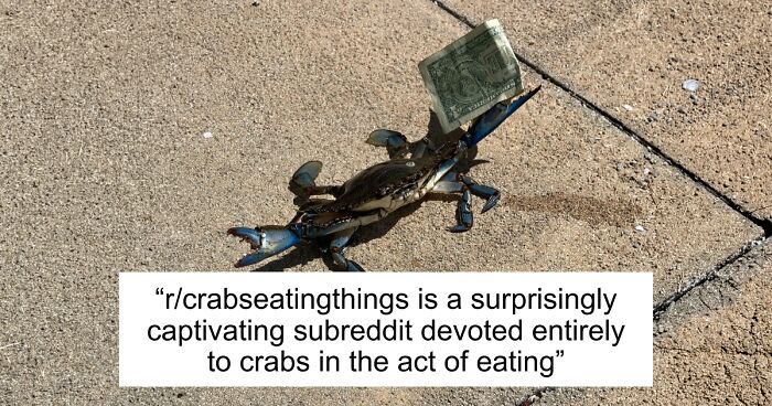 42 Of The Weirdest Subreddits That Are For Some Reason Very Popular