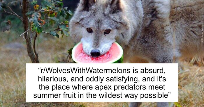 42 Of The Weirdest Subreddits That Are For Some Reason Very Popular