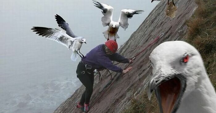 42 Of The Weirdest Subreddits That Are For Some Reason Very Popular