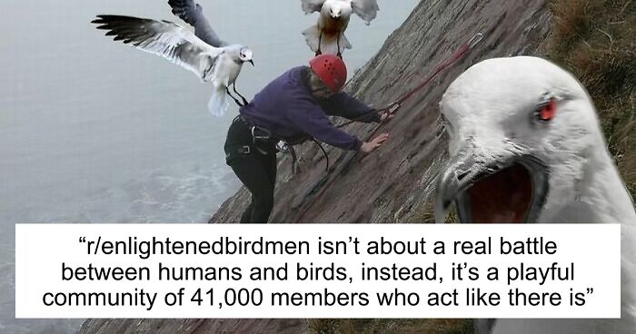 42 Of The Weirdest Subreddits That Are For Some Reason Very Popular