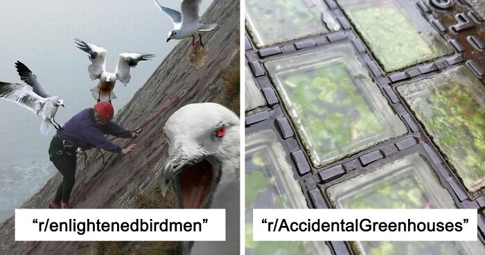 42 Of The Weirdest Subreddits That Are For Some Reason Very Popular